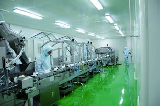 杭州雅琪 精英團隊，共創圖文設計之美